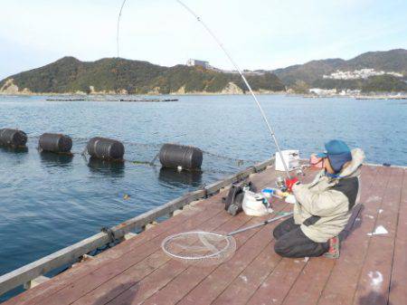 淡路じゃのひれフィッシングパーク 釣果