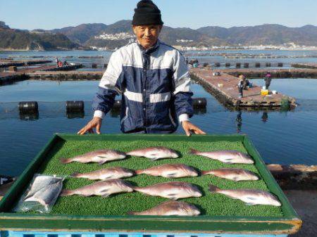 淡路じゃのひれフィッシングパーク 釣果