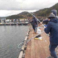 淡路じゃのひれフィッシングパーク 釣果