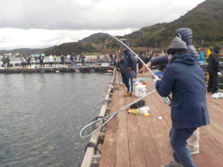 淡路じゃのひれフィッシングパーク 釣果