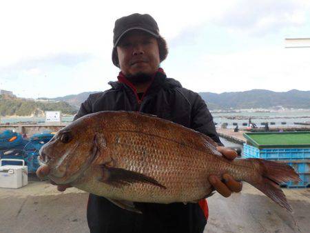 淡路じゃのひれフィッシングパーク 釣果