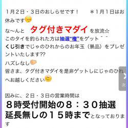 淡路じゃのひれフィッシングパーク 釣果