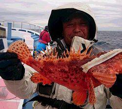 しまや丸 釣果