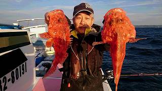 しまや丸 釣果