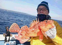 しまや丸 釣果