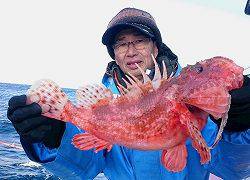 しまや丸 釣果