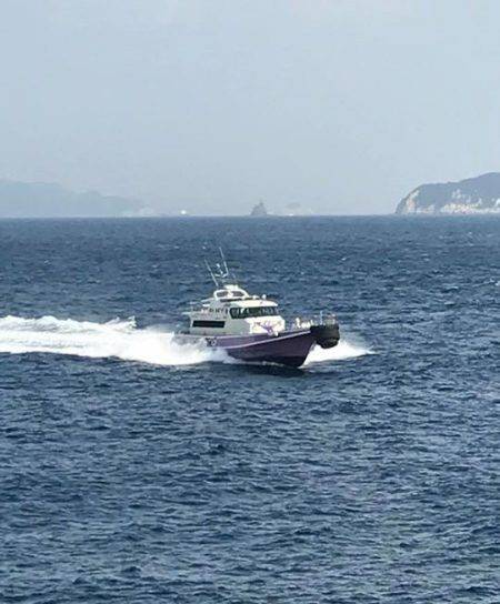 鵜来島家本渡船 釣果