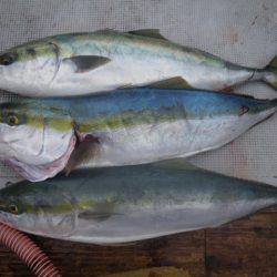 小海途 釣果