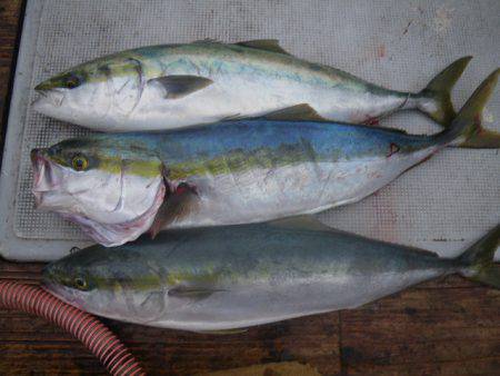 小海途 釣果