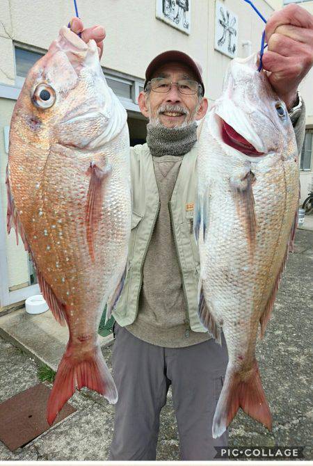 桑田観光 釣果