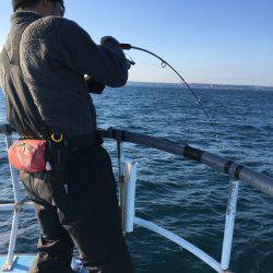 松鶴丸 釣果