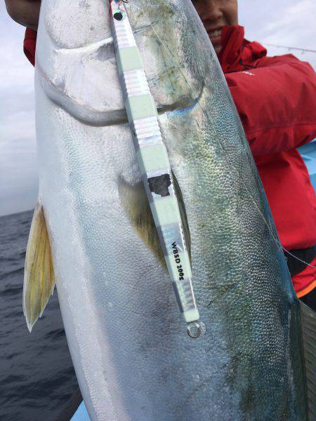 松鶴丸 釣果