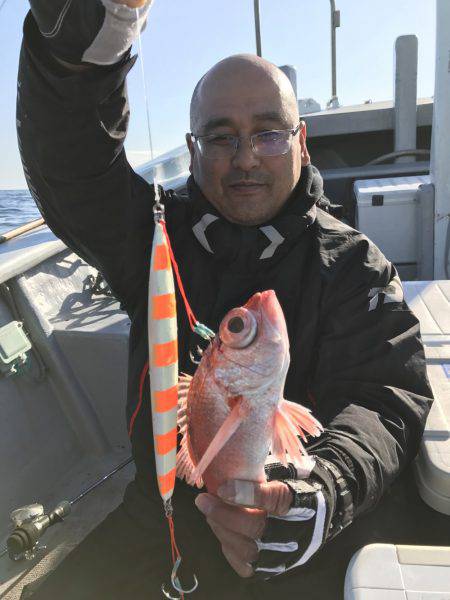 たいし丸 釣果