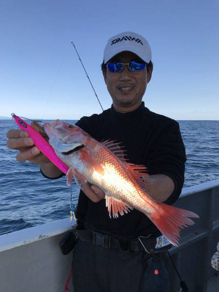 たいし丸 釣果