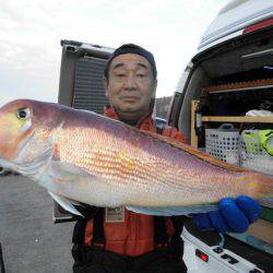 大進丸（新潟） 釣果