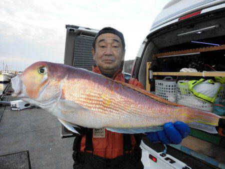 大進丸（新潟） 釣果