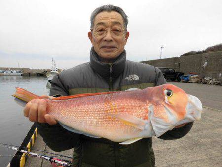 大進丸（新潟） 釣果