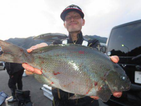 千津丸 釣果