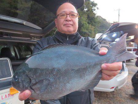 千津丸 釣果