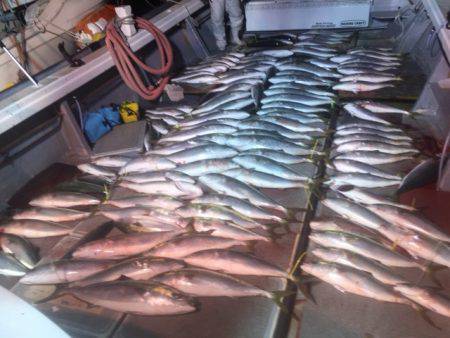 幸風（さちかぜ） 釣果