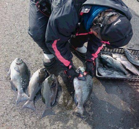 しば渡船 釣果