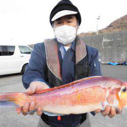 大進丸（新潟） 釣果