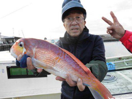 大進丸（新潟） 釣果