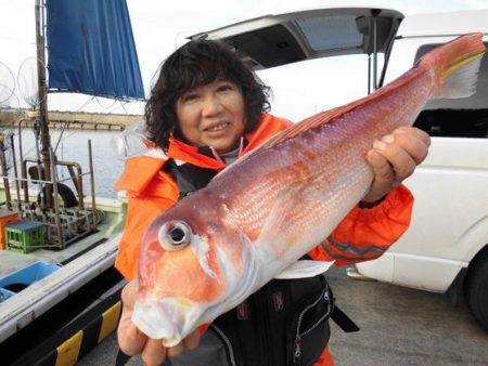 大進丸（新潟） 釣果