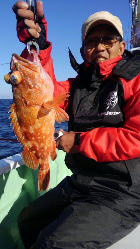 遊漁船 新鋭丸 釣果