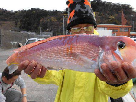 大進丸（新潟） 釣果