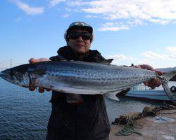 魚英 釣果