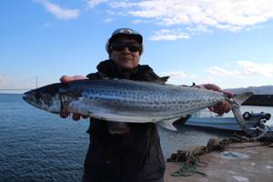 魚英 釣果