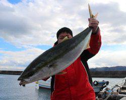 魚英 釣果