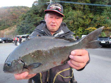 千津丸 釣果