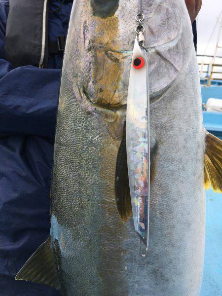 松鶴丸 釣果