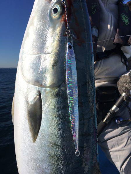 松鶴丸 釣果