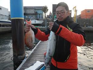 はたの屋 釣果