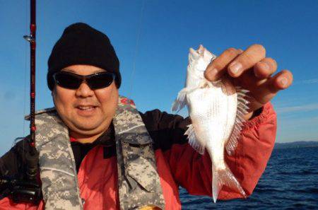 渡船屋たにぐち 釣果