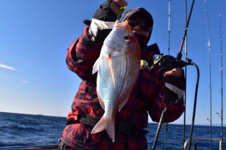 渡船屋たにぐち 釣果