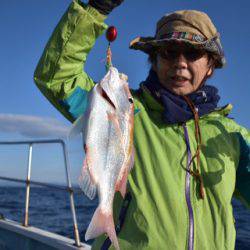 渡船屋たにぐち 釣果