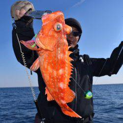 渡船屋たにぐち 釣果