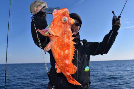 渡船屋たにぐち 釣果