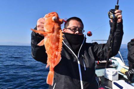 渡船屋たにぐち 釣果