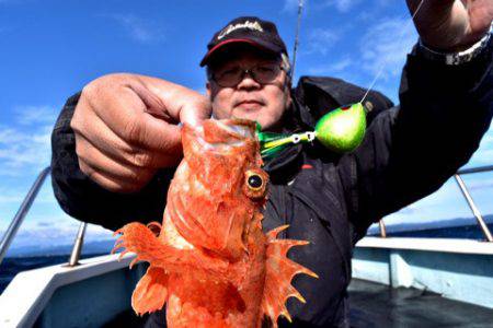 渡船屋たにぐち 釣果