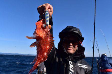 渡船屋たにぐち 釣果