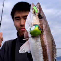 渡船屋たにぐち 釣果