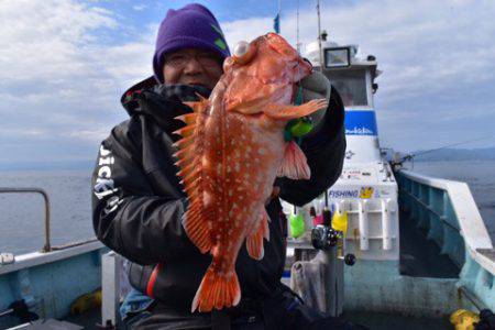 渡船屋たにぐち 釣果