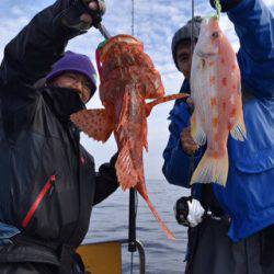 渡船屋たにぐち 釣果