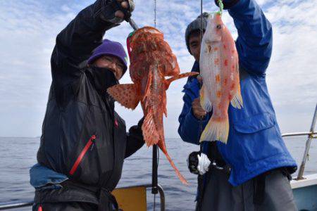 渡船屋たにぐち 釣果