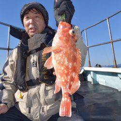 渡船屋たにぐち 釣果